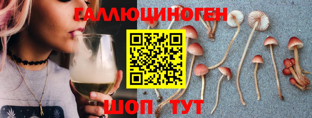 Псилоцибиновые грибы Cubensis  Галлюциногенные грибы Psilocybe  Лиски 