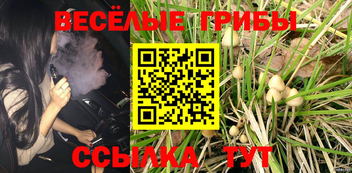 Галлюциногенные грибы мицелий Лиски